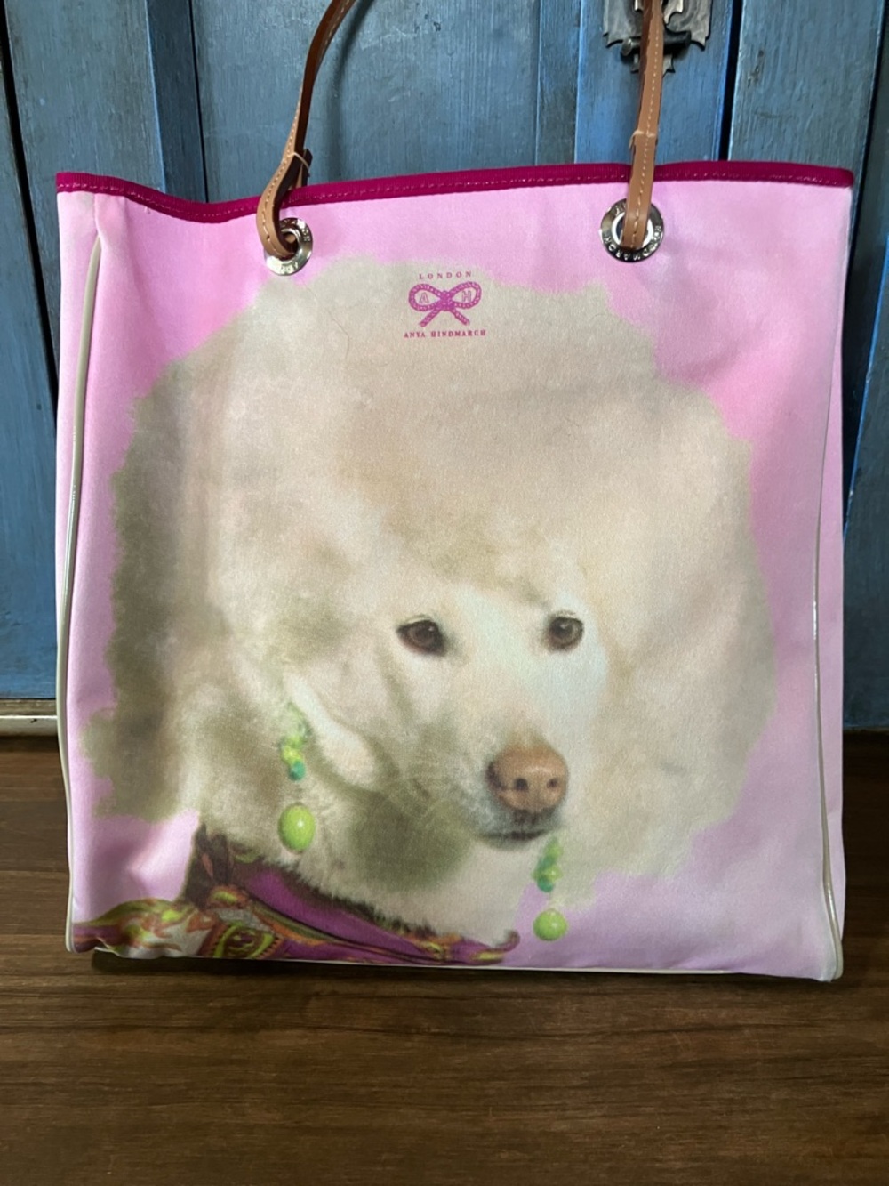 Anya Hindmarch Dog with Earrings